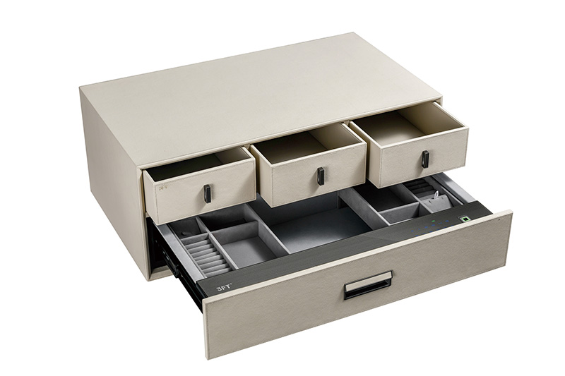 Deluxe 2-Layer Safe Drawer F802C