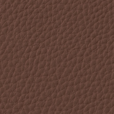 Leather Color C-027